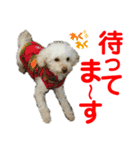 Ashのhappy life①（個別スタンプ：16）