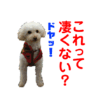 Ashのhappy life①（個別スタンプ：18）