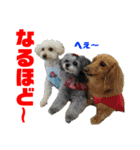 Ashのhappy life①（個別スタンプ：22）