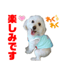 Ashのhappy life①（個別スタンプ：24）