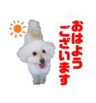 Ashのhappy life①（個別スタンプ：25）