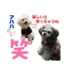 Ashのhappy life①（個別スタンプ：26）