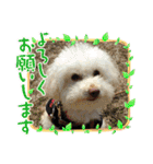 Ashのhappy life①（個別スタンプ：27）