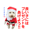 Ashのhappy life①（個別スタンプ：29）