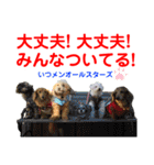 Ashのhappy life①（個別スタンプ：30）