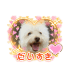 Ashのhappy life①（個別スタンプ：31）