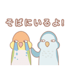 厳しい顔 インコ（個別スタンプ：13）