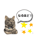 ルーちゃんとミーちゃんDX（個別スタンプ：14）