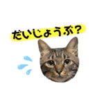 ルーちゃんとミーちゃんDX（個別スタンプ：16）