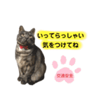 ルーちゃんとミーちゃんDX（個別スタンプ：18）