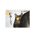 ルーちゃんとミーちゃんDX（個別スタンプ：37）