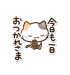 小さい三毛猫【応援＆気遣い】（個別スタンプ：37）