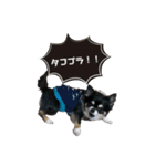 まめ犬スペシャル（個別スタンプ：3）