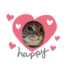 ぽこぽこねこすたんぷ6（個別スタンプ：5）