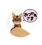 ゆずを（個別スタンプ：4）