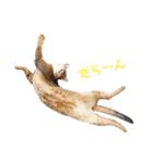 ゆずを（個別スタンプ：14）