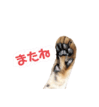 ゆずを（個別スタンプ：16）