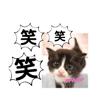 たけしのスタンプ その30（個別スタンプ：1）