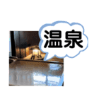 たけしのスタンプ その30（個別スタンプ：5）