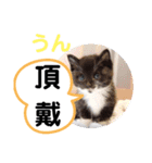 たけしのスタンプ その30（個別スタンプ：7）