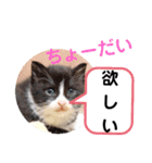 たけしのスタンプ その30（個別スタンプ：8）
