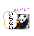たけしのスタンプ その30（個別スタンプ：10）