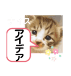たけしのスタンプ その30（個別スタンプ：13）