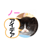 たけしのスタンプ その30（個別スタンプ：14）