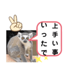たけしのスタンプ その30（個別スタンプ：18）