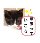 たけしのスタンプ その30（個別スタンプ：19）