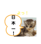 たけしのスタンプ その30（個別スタンプ：20）