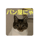 2022/1友達用のスタンプにゃ（個別スタンプ：10）