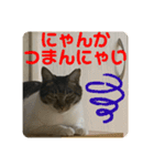 2022/1友達用のスタンプにゃ（個別スタンプ：12）