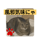 2022/1友達用のスタンプにゃ（個別スタンプ：14）