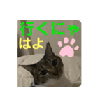 2022/1友達用のスタンプにゃ（個別スタンプ：23）