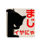 2022/1友達用のスタンプにゃ（個別スタンプ：25）