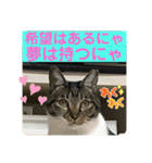 2022/1友達用のスタンプにゃ（個別スタンプ：27）