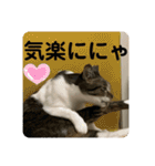 2022/1友達用のスタンプにゃ（個別スタンプ：28）