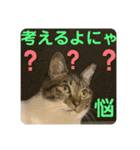 2022/1友達用のスタンプにゃ（個別スタンプ：32）