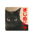 2022/1友達用のスタンプにゃ（個別スタンプ：36）