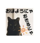 2022/1友達用のスタンプにゃ（個別スタンプ：40）