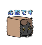 黒猫ヨミのスタンプ（個別スタンプ：13）