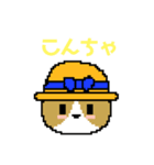 コーギーのドットスタンプ（個別スタンプ：4）
