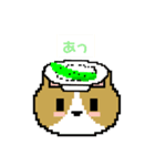コーギーのドットスタンプ（個別スタンプ：6）