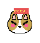 コーギーのドットスタンプ（個別スタンプ：7）