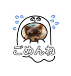 可愛いこむぎ（個別スタンプ：5）