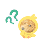 わたちのペット（個別スタンプ：7）