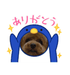 わたちのペット（個別スタンプ：11）