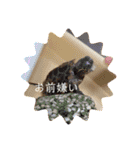 わたちのペット（個別スタンプ：15）