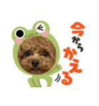 わたちのペット（個別スタンプ：19）